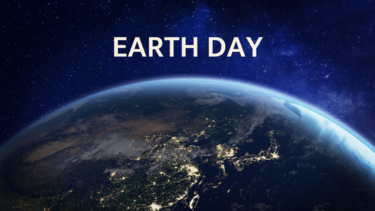 Embracing Sustainability: Celebrating Earth Day Every Day