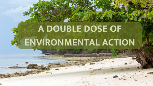 Celebrating World Ocean Day and the Great Big Green Week: A Double Dose of Environmental Action