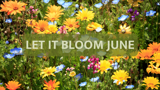 Celebrating World Environment Day and Let It Bloom June: Let’s Make Our Planet Greener Together!