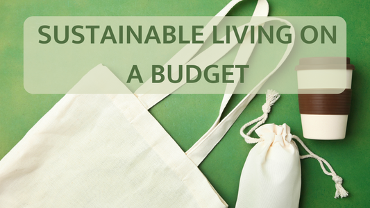 Is It Possible To Be Sustainable on a Budget?