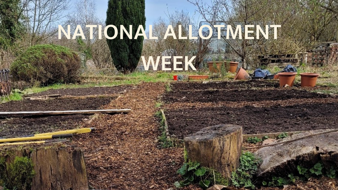 Embracing the Joys of Allotment Week: A Celebration of Green Spaces and Community Spirit