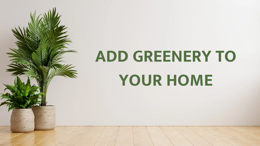 Why You Need to Add Greenery to Your Home