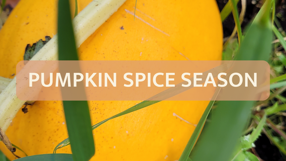 Pumpkin Spice and the Sunnah: Celebrating a Seasonal Favourite