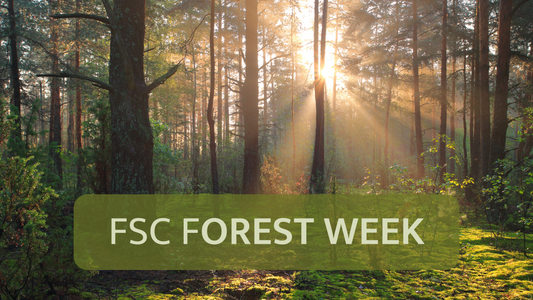 Let’s Talk About FSC Forest Week: Celebrating and Protecting Our Forests