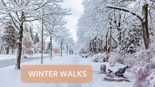 Winter Walks: Embracing the Chill for a Cosy Stroll